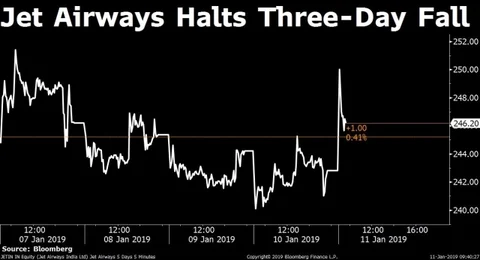 Stocks Radar: TCS, Eveready Industries, Tata Motors, Infosys