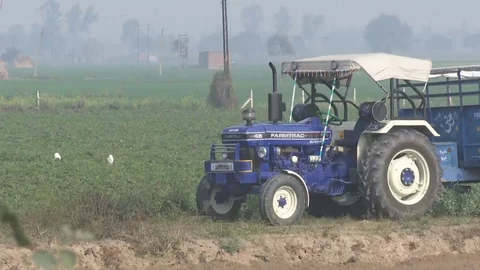 A field in Sohal, 29 kilometres west of Amritsar along India’s border with Pakistan. (Source: BloombergQuint)