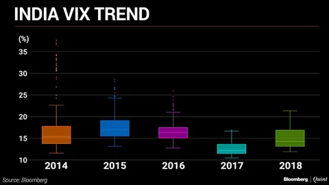 Will 2019 Be A Year Of High Volatility?