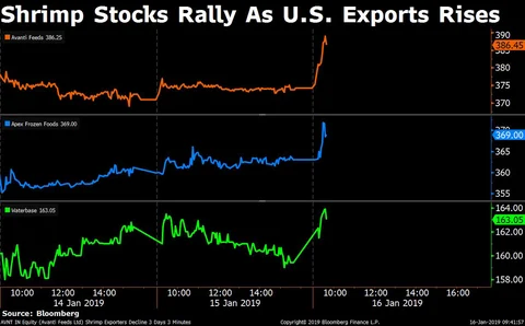 Stocks Radar: Info Edge, KPIT Technologies, MCX, Zee Entertainment
