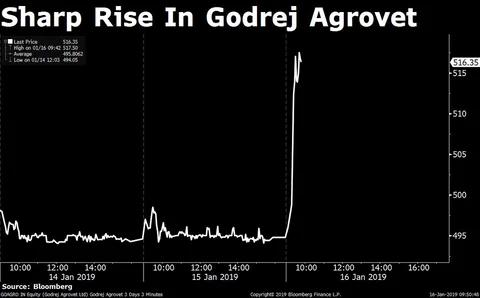 Stocks Radar: Info Edge, KPIT Technologies, MCX, Zee Entertainment