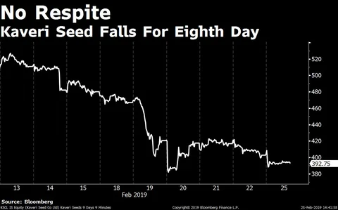 Sensex Resumes Rally After One-Day Blip