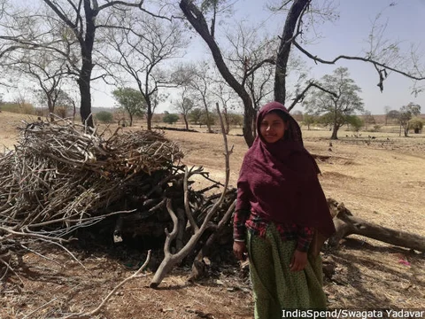 At Katlabor village, Kali Bai, 18, with the stack of firewood she and her mother collected. This pile will last her family a year. It is usually the women who collect firewood in the dry season in Rajasthan.