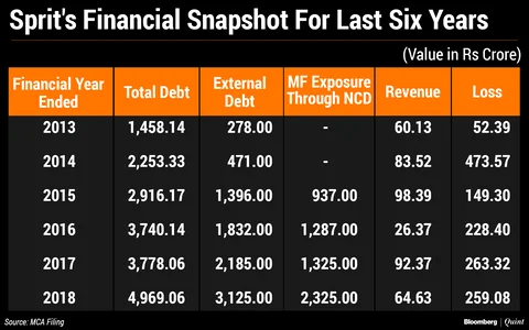 Rising Debt, Minimal Revenues – Yet Mutual Funds Funded These Essel Group Companies