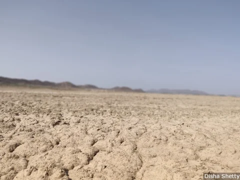 Once India’s largest inland salt water lake, the Sambhar lake in central Rajasthan has all but dried up. It is just one of the lakes to dry in this area, according to satellite data for three decades till 2015.