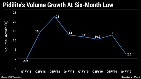 Pidilite Industries’ Volume Growth Slows To Six-Quarter Low