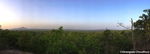 A tale of two ‘forests’: In Sarguja district’s Hasdeo Arand, authorities have awarded preliminary clearance for 1,600 acres of dense forests to be stripped for coal mining. ‘Compensatory afforestation’ for this destruction is to take the form of plantations by the forest department in adjoining Korea district.