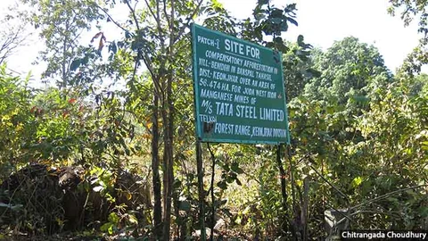 An undulating forested patch in Benedihi village has been marked out for compensatory afforestation by the forest department to offset forest clearance awarded to a Tata Steel Limited mine.