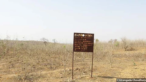 In Korea district in Chhattisgarh, a forest department plantation of 22,000 trees forms a desolate expanse. The government counts such plantations as forests, and has made them a key component of its international commitments of increasing forest cover to mitigate climate change.