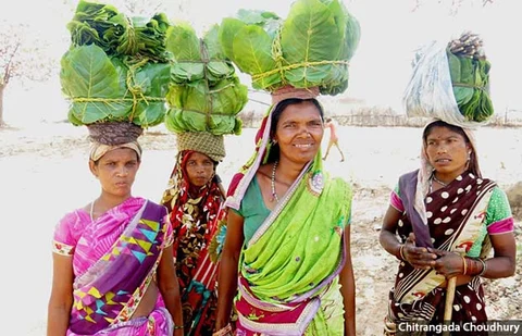 Residents of Thaggaon village, Samudribai Salaam, Sonmati Orkera, Sampatiya Salaam and Indukunwar Orkera (left to right), return home after gathering forest produce from the village’s forested commons. While Thaggaon is yet to get recognition under the Forest Rights Act for such community forest rights, officials have earmarked 500 acres of land in the village for compensatory plantations.