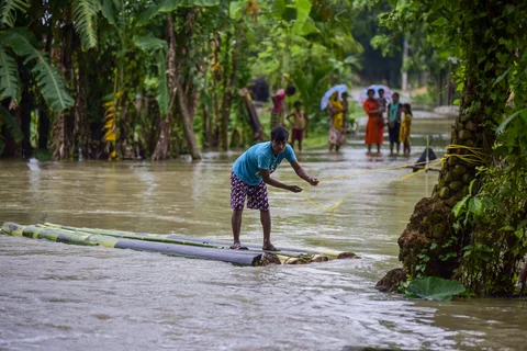 A man rows a makeshift raft to cross floodwaters following incessant monsoon rainfall, at Lahorighat village in Morigaon (Source: PTI)