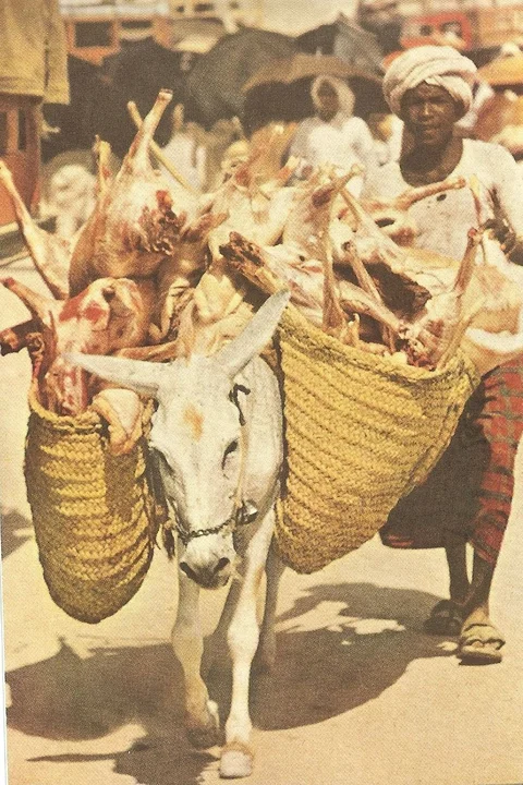 Revisit The 1953 Hajj Journey With 25 Fascinating Photos