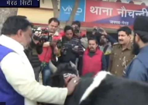 गौरक्षकों की गुंडई से परेशान ‘मुसलमान’ ने थाने में बाँध दी गाय, कहा- मुझे अपनी जान नहीं गंवानी