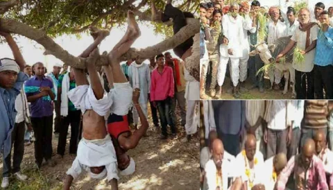 बजट में किसान-हित के दावे से उलट जमीनी सच्चाई, 5 दिनों से प्रदर्शन कर रहे किसान पेड़ पर उल्टा लटके