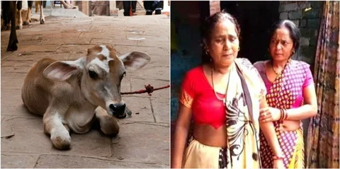 MP में पंचायत का शर्मनाक फरमान, गाय का बच्चा मरने पर महिला को गांव में भीख मांगने का सुनाया आदेश