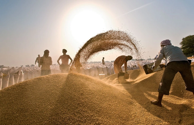Age-old practices: India’s regulated markets have done little to store grain in a closed, modern environment