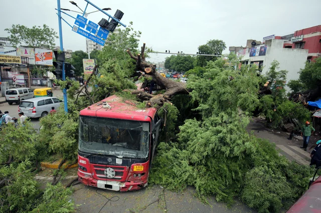 A tree gets uprooted and falls on a bus after heavy rain in Ahmedabad, Gujarat