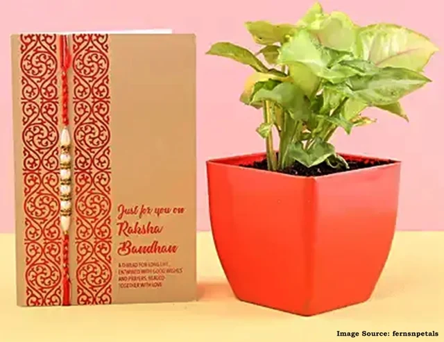 Raksha Bandhan 2019: From meenakari to leather rakhis, our guide to quirky rakhis