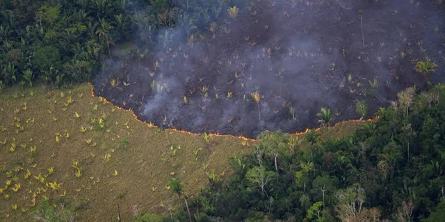 In Pics: Fires in Amazon rainforest rage at record rate