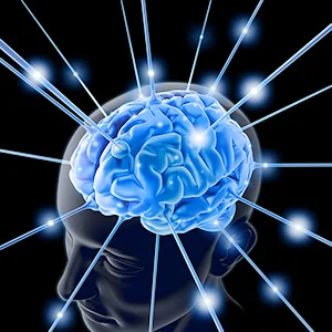Different regions of brain processes different types of fear
