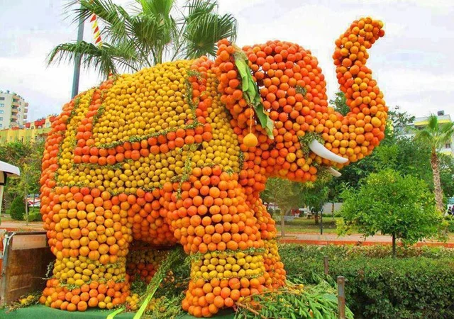 The orange festival at Jampui<br />Picture Credits: hbapeyzaj.blogspot.com