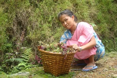 India’s cleanest village