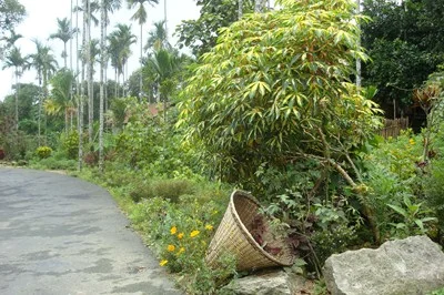 India’s cleanest village