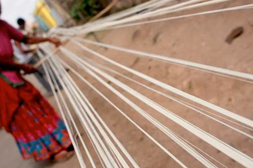 Gandhi Jayanti Special: Khamir helping Kachcch revive home grown Kala Cotton
