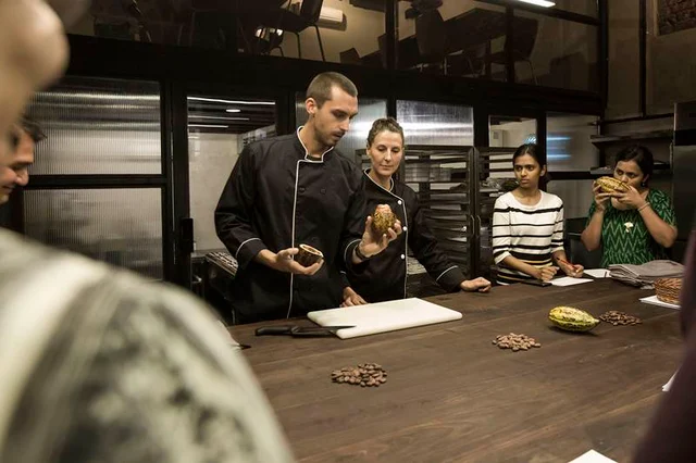 Examining the cacao bean