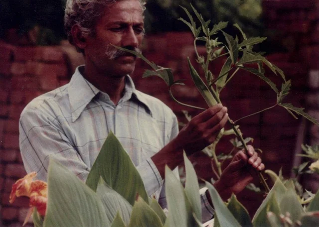 Nanaji the Gardner