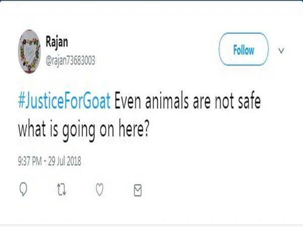 Pregnant goat dies after being gang-raped in Haryana, Twitterati starts #JusticeForGoat campaign