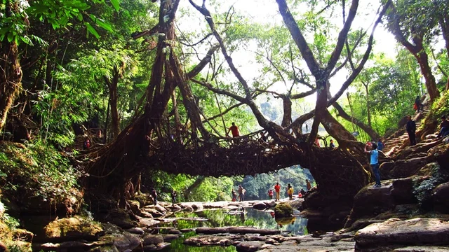 Mawlynnong, Meghalaya