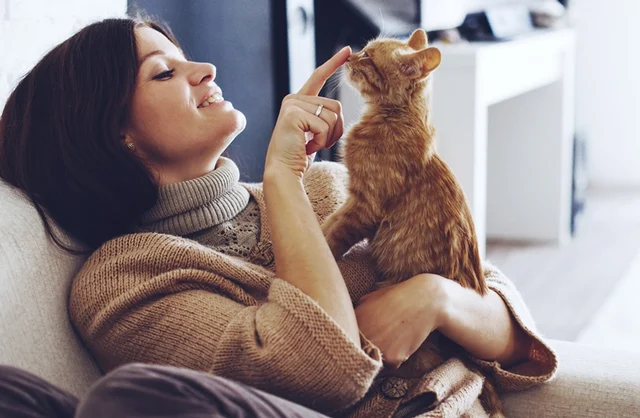 Young woman wearing warm sweater is resting with a cat on the armchair at home one autumn day
