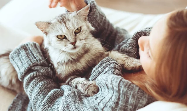 International Cats Day 2018: Owing these furry felines has enormous health benefits