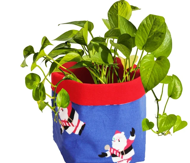 The celebration planner: How to make the most of your Christmas celebrations