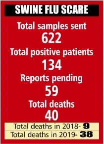 Indore: Three more succumb to swine flu