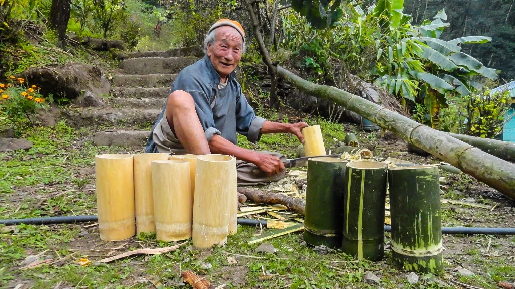 Chhang is made from finger millets, which are processed and then fermented for a few months