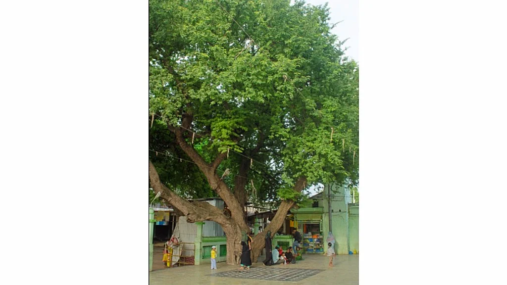 The resting place of Ustaad Abdul Karim Khan