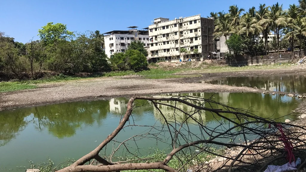 This dried up lake, was a part of the bustling Sopara port, once upon a time