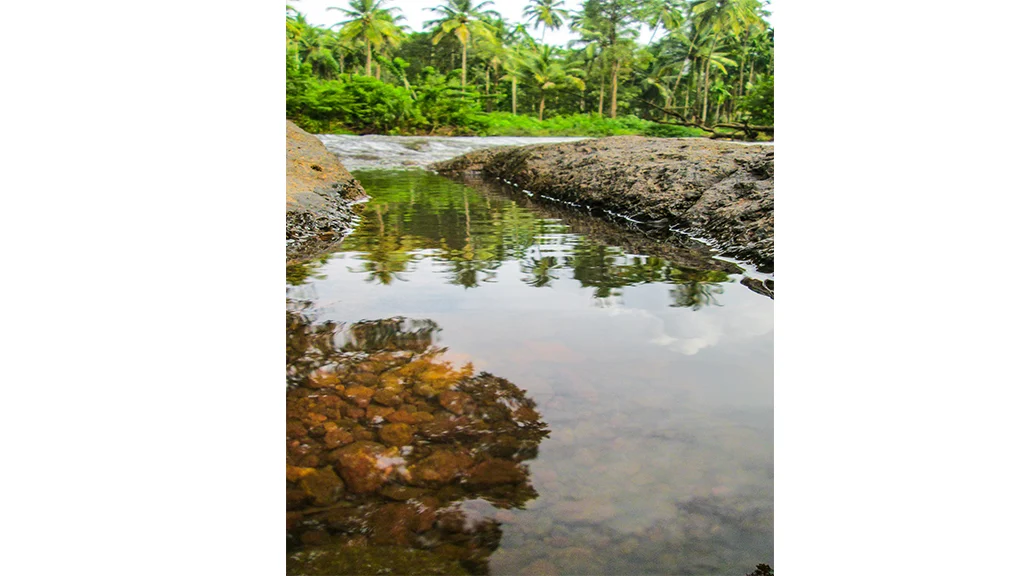 Banks of river Kushavati