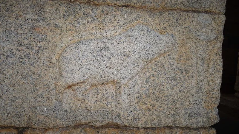 Royal symbol (a bore) of Vijayanagara Empire carved on the gate of Chandragiri Fort