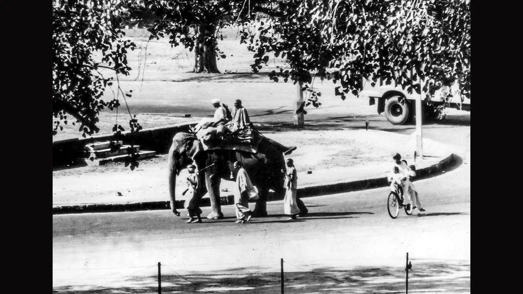 Elephant Riders