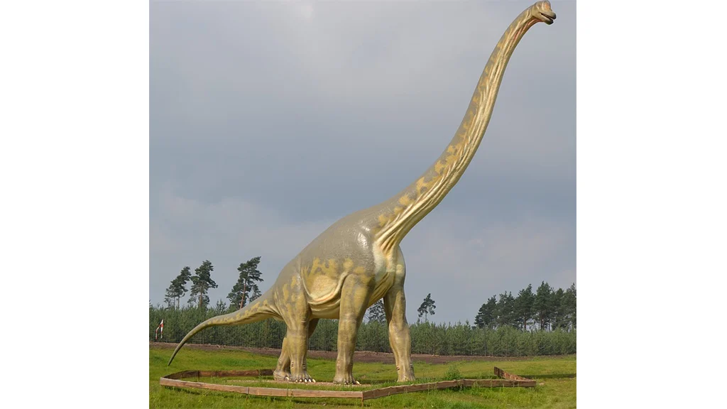 A model of Sauropod 