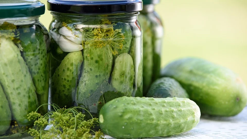 Pickled cucumbers