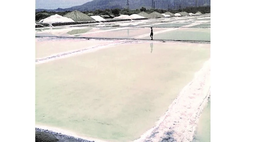 Salt pans at Wadala 