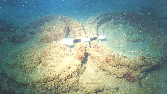 Finds from the underwater excavations at Puhar
