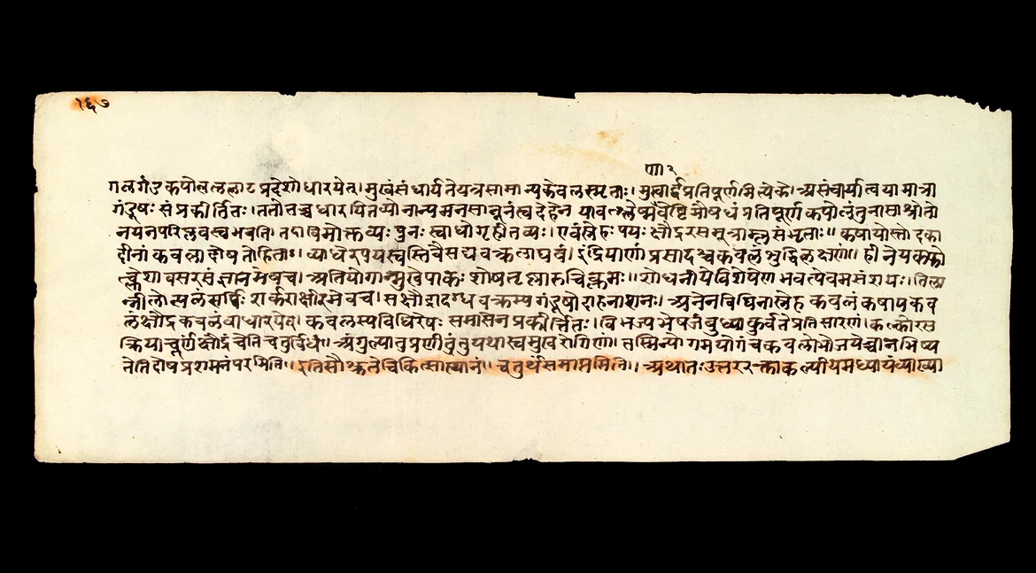 A folio from Sushruta Samhita