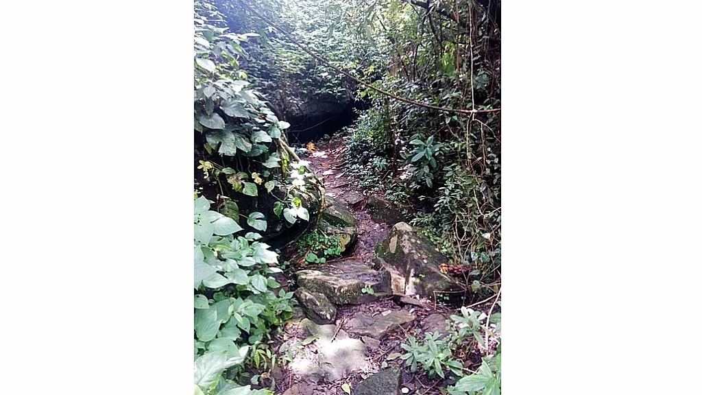 Cave hideout used by the Raja in Wayanad forest