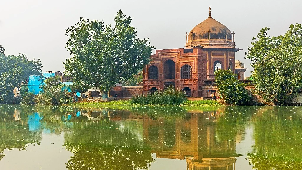 Taal Firoz Khan 