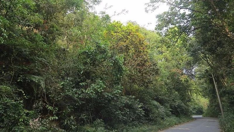 Periya Ghat, Wayanad